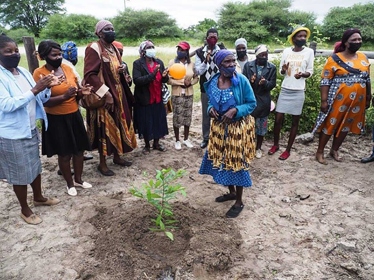 Shokomokwa tree planted post borehole donation