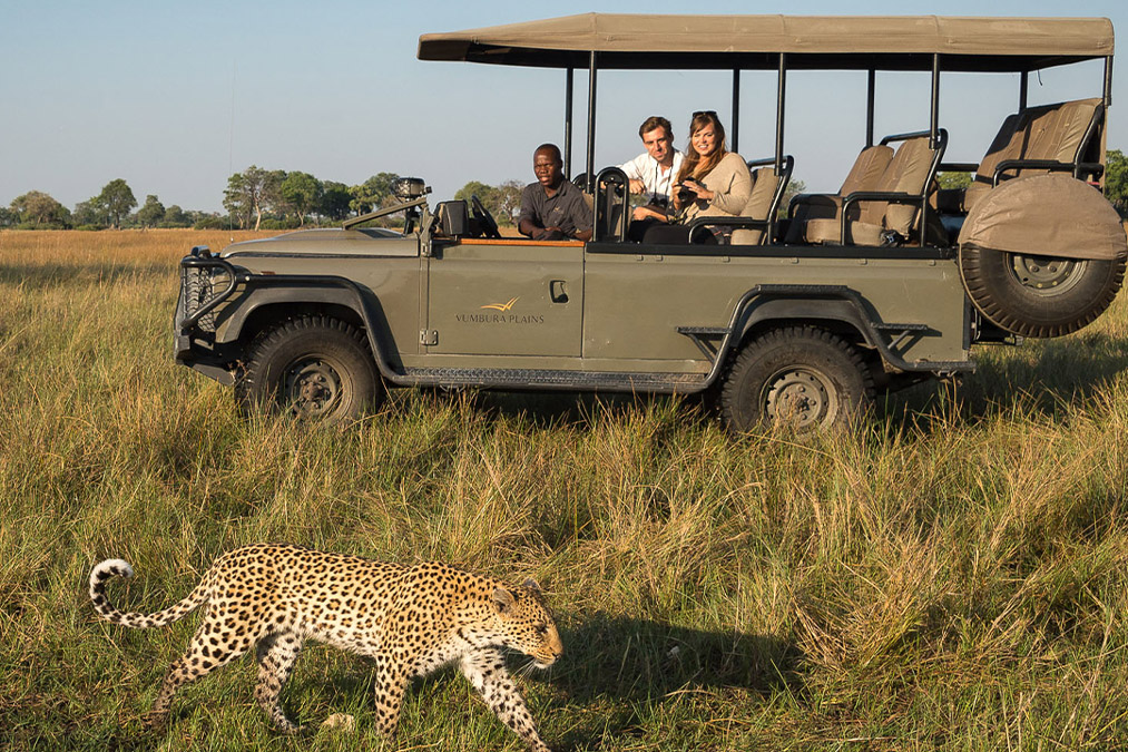 Tourist looking at a Cheetah in Vumbura